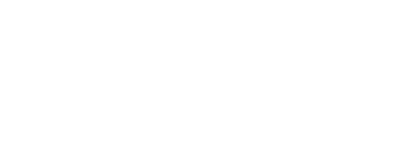 Oracle Netsuite Logo